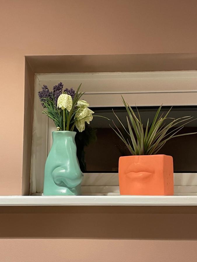 Luxury Flat In Totnes Apartment ภายนอก รูปภาพ